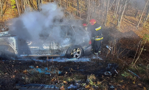 Поблизу Вінниці сталася аварія - водій загинув, двоє людей травмовані