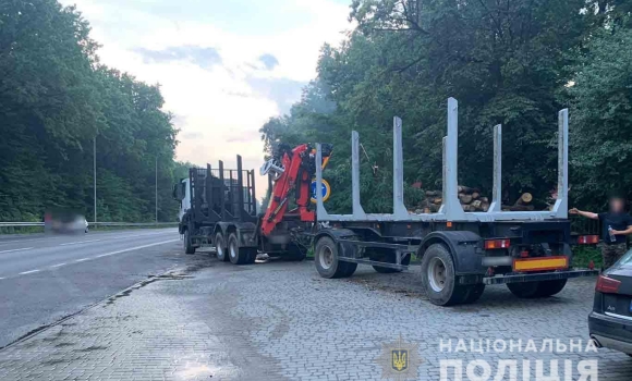 Поліцейські викрили водія, який незаконно перевозив деревину