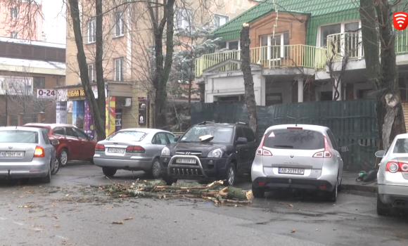 Повалені дерева та відключення світла. Наслідки негоди на Вінниччині