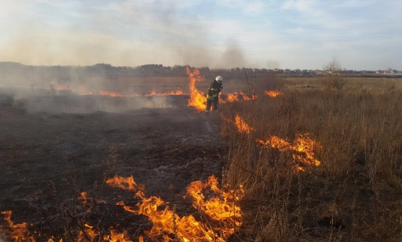 Протягом вихідних рятувальники Вінниччини загасили 17 пожеж в екосистемах