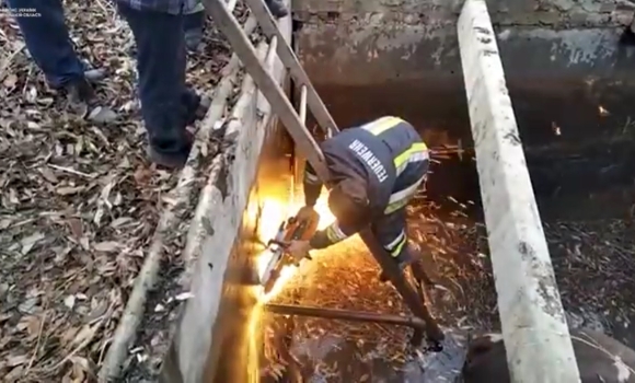 У Барському районі врятували корову, яка впала у водозабірник