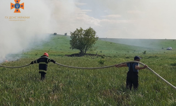 Рятувальники ліквідували десять пожеж в природних екосистемах області