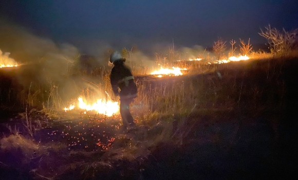 Рятувальники п'ять разів виїжджали на ліквідацію загорянь в екосистемах Вінницької області