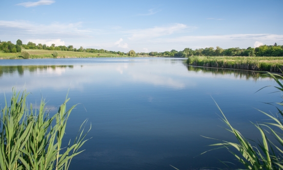 Ще одну ініціативну групу "Чиста водойма" створили у Вінницьких Хуторах