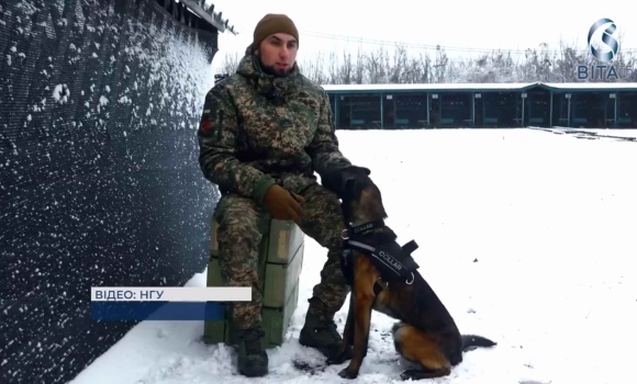 Службові собаки у Нацгвардії як бельгійська вівчарка допомагає захищати Україну