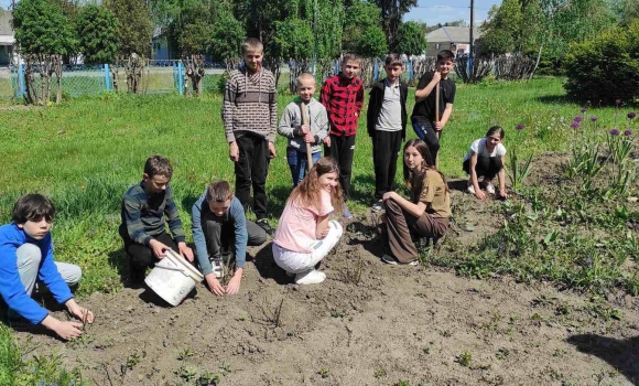 У 23 громадах Вінниччини висадять трояндові Алеї Слави на честь полеглих Героїв