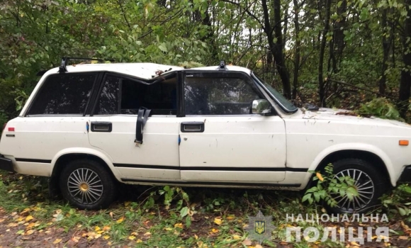 У Барській громаді дерево впало на авто - водій загинув