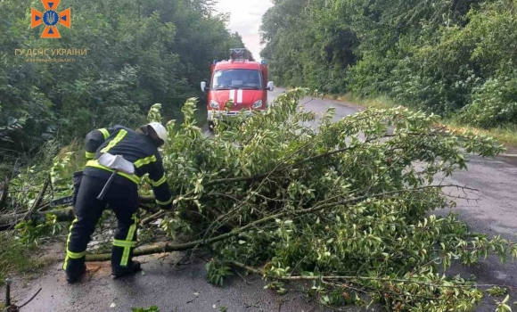 У Гайсинському районі повалене вітром дерево перегородило дорогу