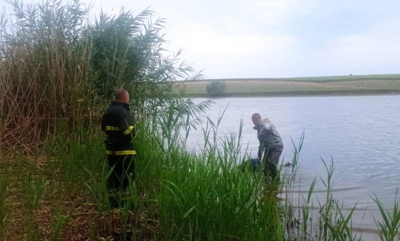 У Гайсинському районі в ставку втопився невідомий