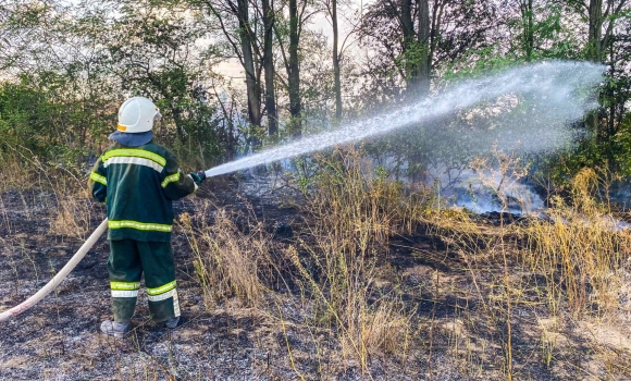 У Гайсинському районі вогонь обпалив ґрунт на площі 2,7 га