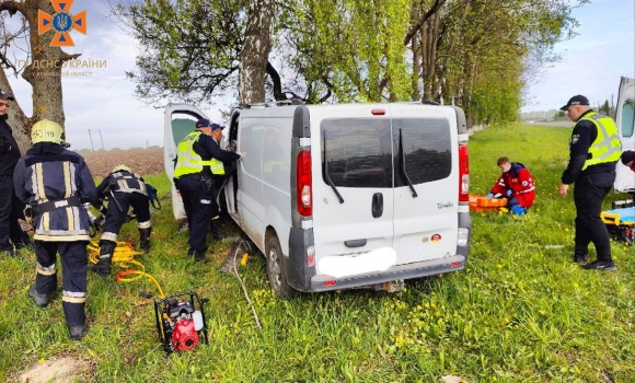 У Калинівці водій Renault Trafic таранив березу, щоб уникнути ДТП з іншим авто