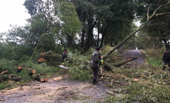 У Калинівській громаді прибрали дерева, які через негоду впали на дорогу