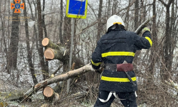 У Літинській громаді дерево впало на трасу та перекрило рух автотранспорту