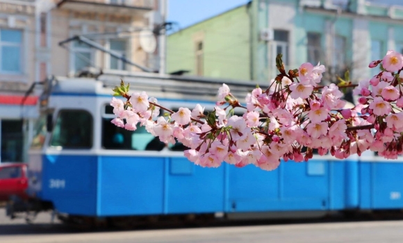 У перший день травня у Вінниці прогнозують до 16° тепла