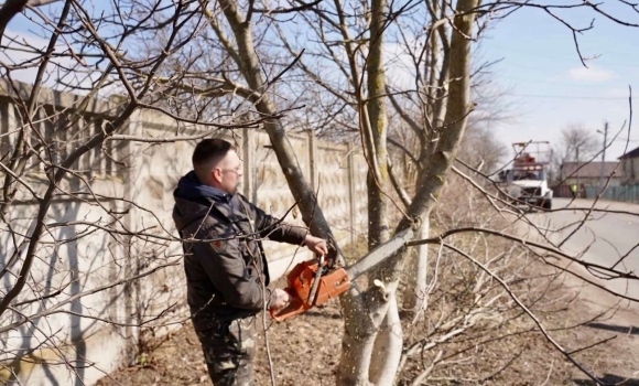 У Писарівці, Щітках та на Вінницьких Хуторах провели толоку