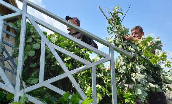 У Подільському зоопарку у Вінниці почали готувати запаси їжі на зиму