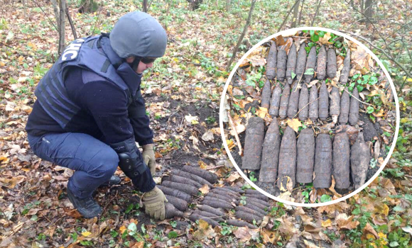 У Погребищенській громаді знешкодили 25 боєприпасів часів Другої світової