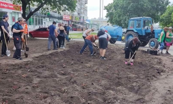 У Сумах днями висадили 500 кущів вінницьких троянд