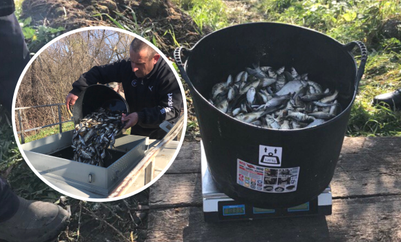 У Сутиське водосховище у Ворошилівці випустили майже 900 кг риби