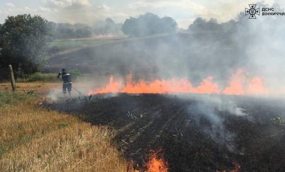 У трьох районах Вінниччини горіли суха трава, стерня та сміття