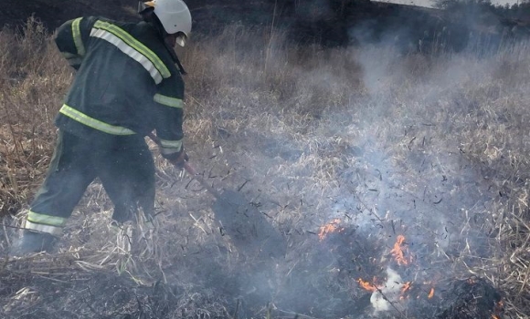 У Тростянецькій та Іллінецькій громадах загасили пожежі в екосистемах