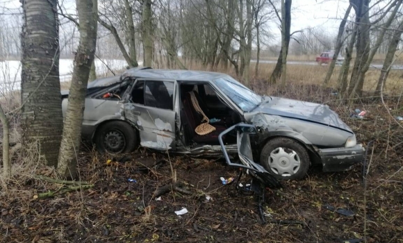 У Тульчинському районі Mazda протаранила дерево - пасажирка у лікарні