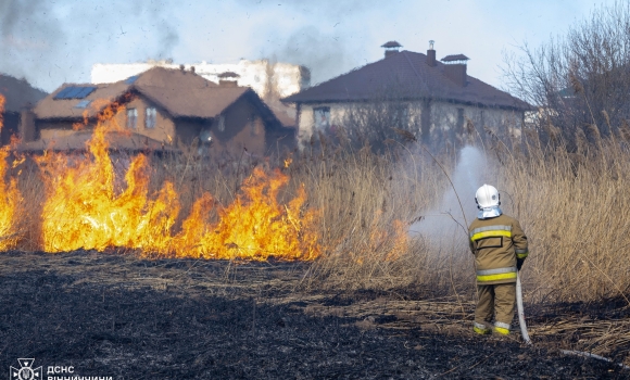 У Вінниці на березі Вишенського озера підпалили очерет