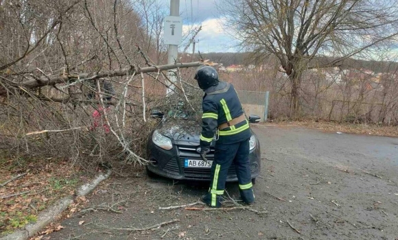 У Вінниці повалене вітром дерево впало на автомобіль