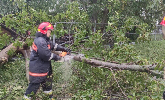 У Вінниці продовжують ліквідовувати наслідки вчорашнього буревію 