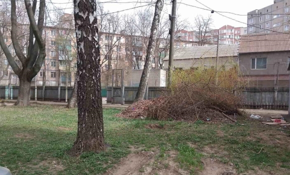 Не прибирали сміття - у Вінниці склали протокол на голову ОСББ