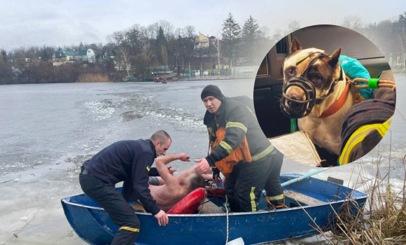 У Вінниці власник собаки ледь не втратив життя, рятуючи з під криги чотирилапого друга