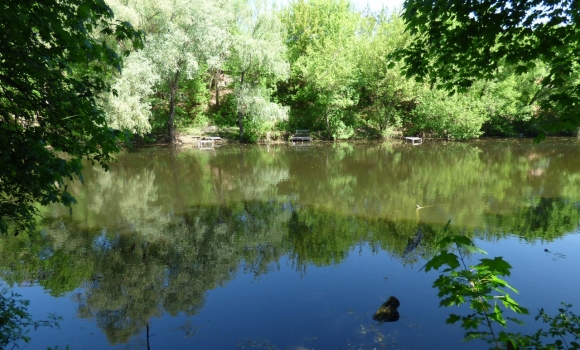 У Вінницькій громаді з червня почнуть моніторити водні об'єкти