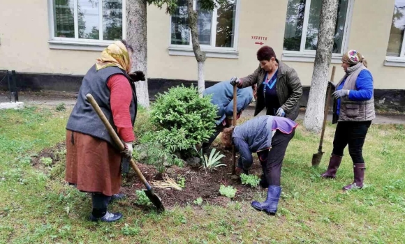 У Вінницько-Хутірському окрузі висадили півтисячі кущів троянд