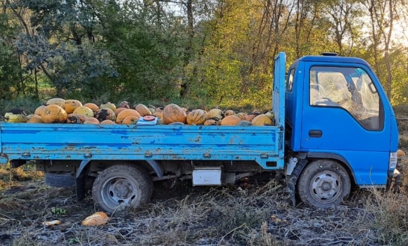 У Вінницькому районі вантажівка з гарбузами розчавила пішохода