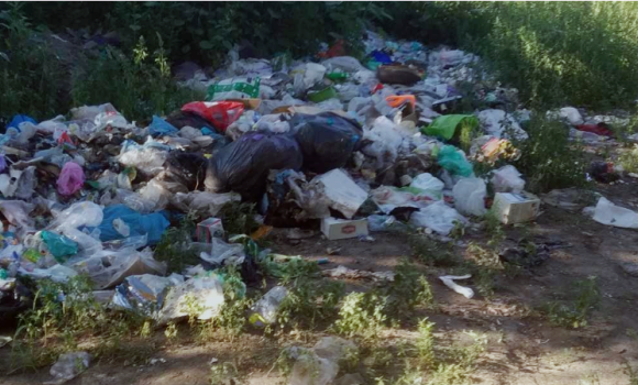 У Вінницькому та Хмільницькому районах знайшли два незаконних звалища