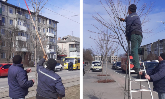 У "Вінницязеленбуді" розповіли, які роботи виконують напередодні потепління