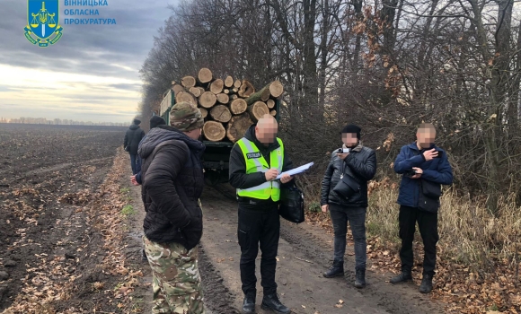 У Вінниці оголосили вирок “чорним лісорубам”, які нарубали дубів на 1,6 млн грн