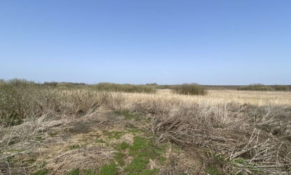 У Війтівецькій громаді невідомі забруднили земельну ділянку хімікатами