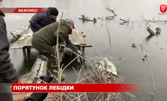 У Вороновиці небайдужі врятували лебідку