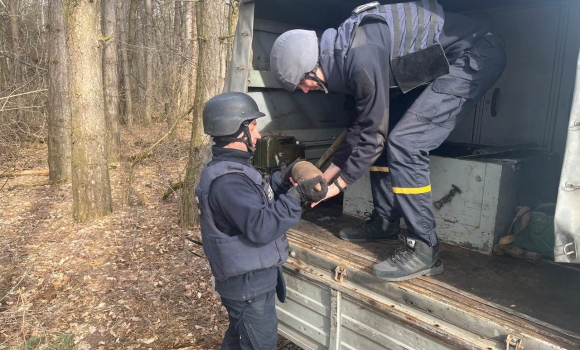 В Калинівській громаді знайшли та знищили артилерійський снаряд