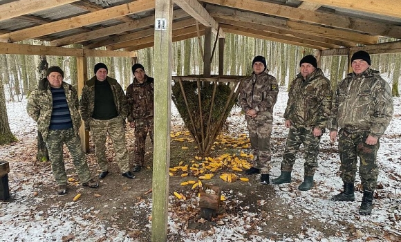 В лісах Вінниччини почали підгодовувати диких тварин