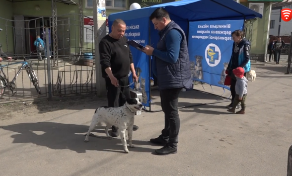 В мікрорайоні Бучми триває профілактична вакцинація тварин від сказу