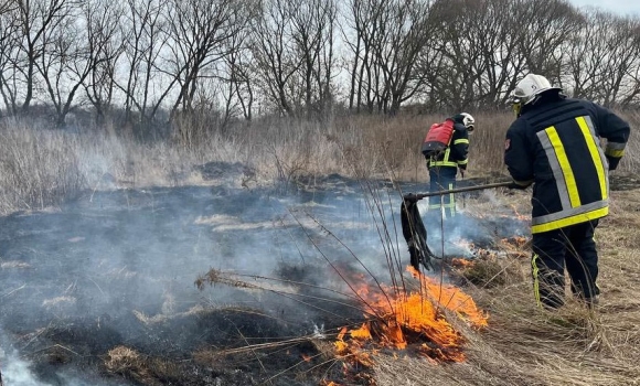 Від ранку рятувальники Вінниччини тричі гасили загоряння сухої рослинності