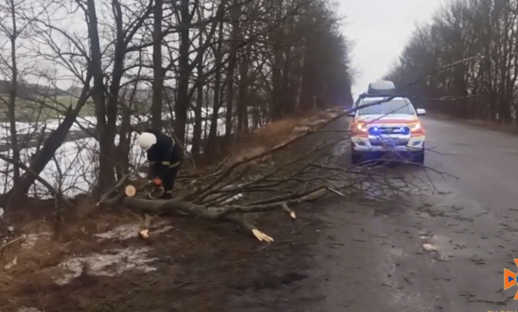 Вінницькі рятувальники прибрали з автошляхів повалені вітром дерева