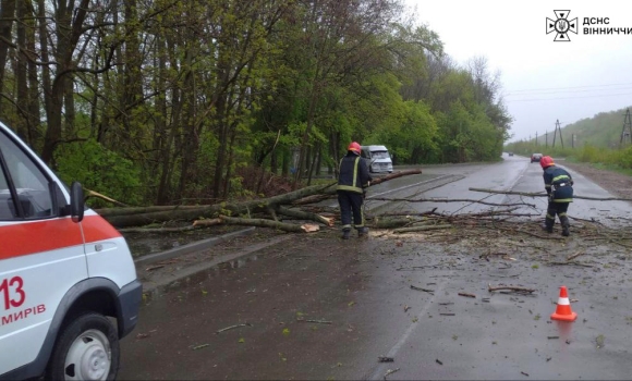 Вінницькі рятувальники виїжджали на виклики, що повʼязані з падінням дерев