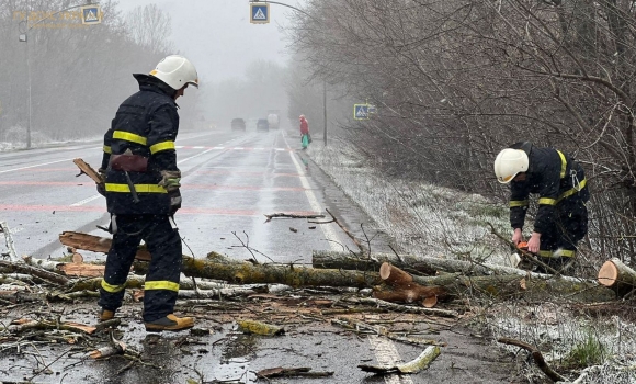 Вінницькі рятувальники за добу 23 рази виїжджали боротись із наслідками негоди