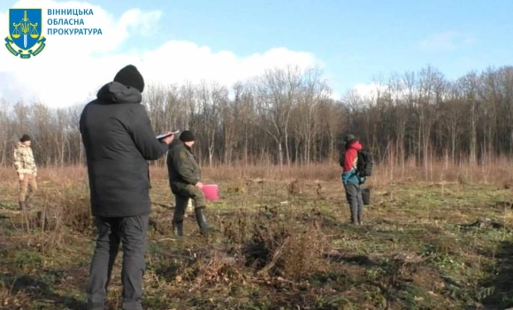 Вінницькі прокурори повідомили про підозру посадовцям, які незаконно вирубували дерева у Летичівському лісогосподарстві