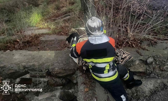 Вінницькі рятувальники витягли знесиленого собаку з триметрової пастки