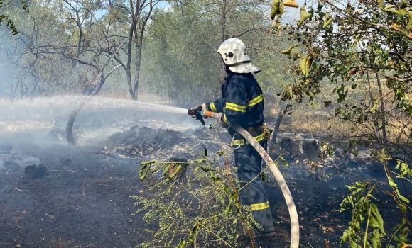 За добу, 1 вересня, на Вінниччині сталося п'ять пожеж в екосистемах