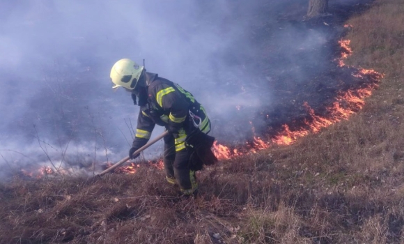 За добу, 26 березня, на Вінниччині сталося вісім пожеж в екосистемах